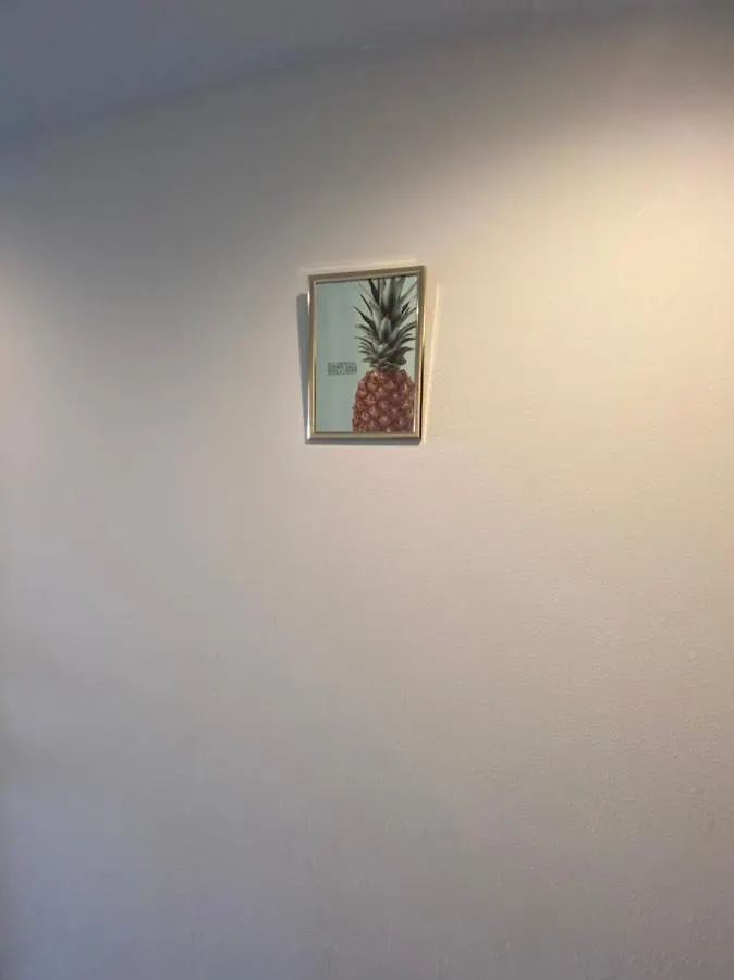 Takemura Building 305 Tokyo Apartment